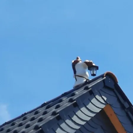 Beim Schlafwandler